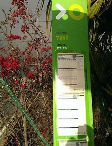 بيت للعطل Dream House