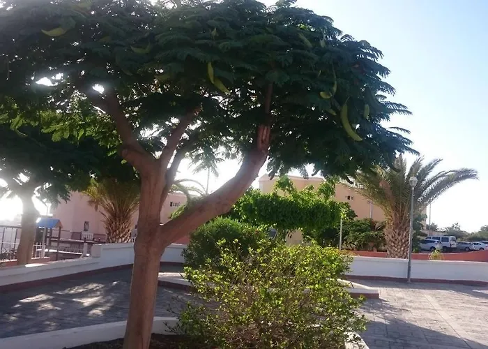 بيت للعطل Dream House